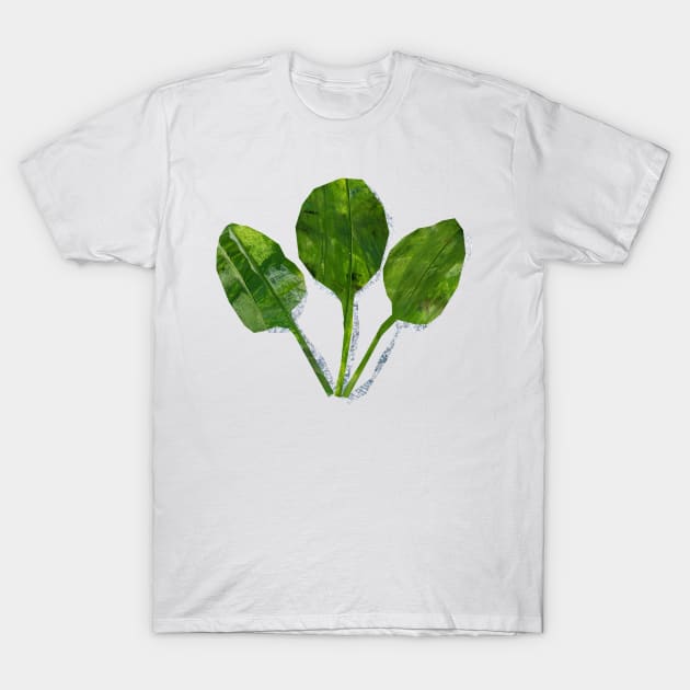 Spinach leaves T-Shirt by Babban Gaelg